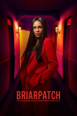 Briarpatch - Staffel 1